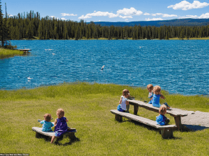 A Guide to the 5 Best National Parks for a Trip With Young Kids